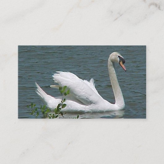 Swan Business Cards Visitenkarte (Vorderseite)