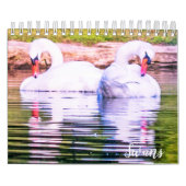 Swan Calendar Kalender (Titelbild)