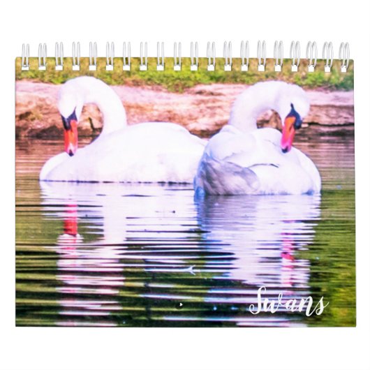 Swan Calendar Kalender (Titelbild)