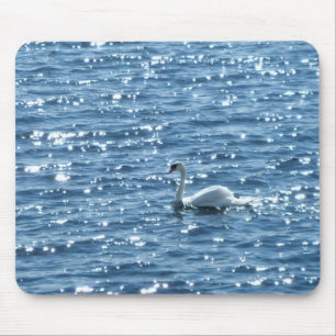 Swan, Cardiff Bay, Cardiff, Wales Mousepad