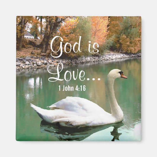 Swan Christlich Magnet (Vorne)