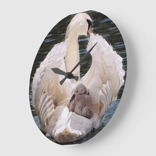 Swan Clock Große Wanduhr (Winkel)