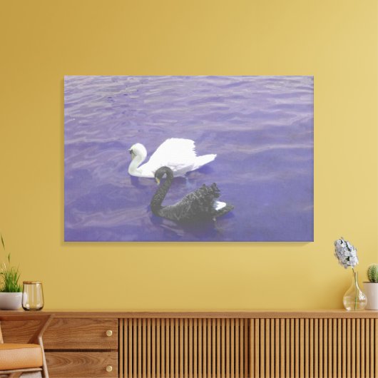 Swan Couple auf einem See Leinwanddruck (Insitu (Wohnzimmer))
