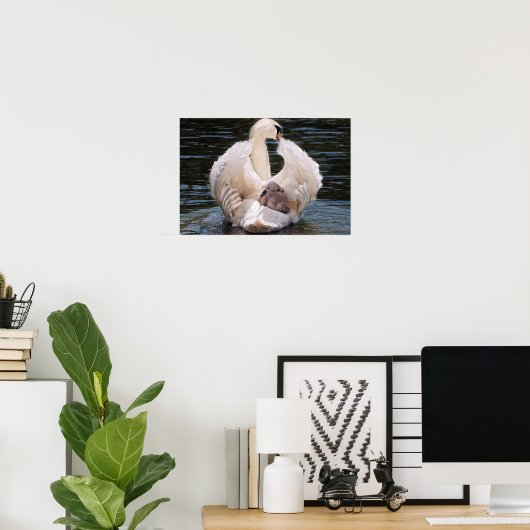 Swan & Cygnets Poster (Heimbüro)