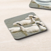 Swan Cygnets Schwimmen Getränkeuntersetzer (Linke Seite)