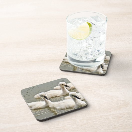 Swan Cygnets Schwimmen Getränkeuntersetzer (Rechte Seite)