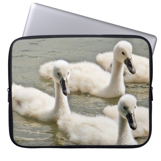 Swan Cygnets Schwimmen Laptopschutzhülle (Vorderseite)