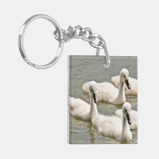 Swan Cygnets Schwimmen Schlüsselanhänger (Vorderseite links)