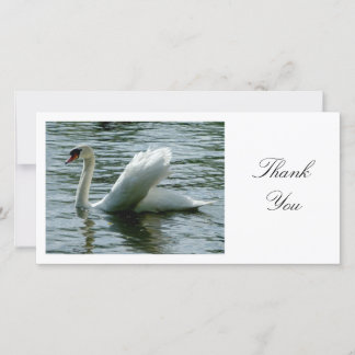 Swan - Danke
