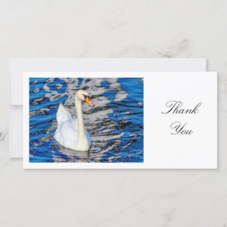 Swan - Danke