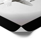 Swan Duo Poster (Ecke)