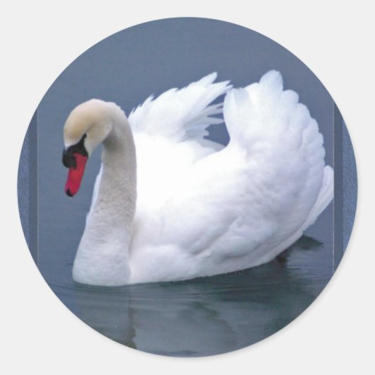 SWAN ELEGANCE RUNDER AUFKLEBER (Vorderseite)