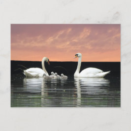 Swan Familie in Harbour Sky Cust. BG DIY Postcard Postkarte
