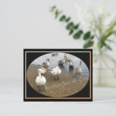 Swan-Familie Postkarte (Stehend Vorderseite)