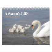 Swan Family Fotokalender Kalender (Titelbild)