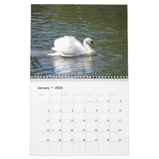 Swan Family Fotokalender Kalender (Jan 2026)