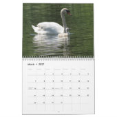 Swan Family Fotokalender Kalender (Mär 2027)