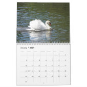 Swan Family Fotokalender Kalender (Jan 2027)