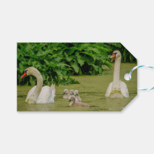 Swan Family Geschenkanhänger