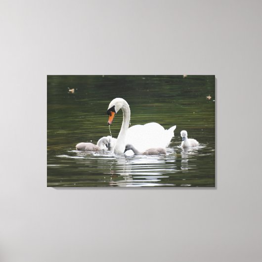 Swan Family Gift Wrap – Serene Water Scene with Mo Leinwanddruck (Vorderseite)