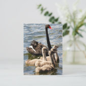 Swan Family Postkarte (Stehend Vorderseite)
