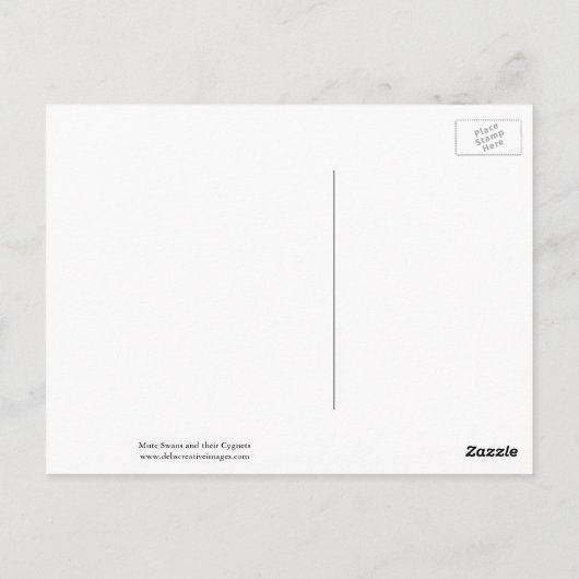 Swan Family Postkarte (Rückseite)