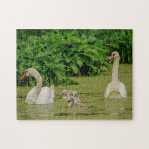Swan Family Puzzle
