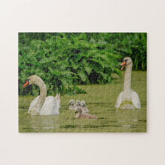 Swan Family Puzzle (Horizontal)