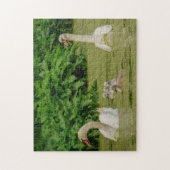 Swan Family Puzzle (Vertikal)