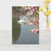 Swan Foto Karte (Gelbe Blume)
