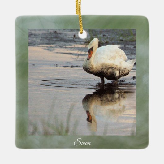 Swan Foto Ornament (Vorderseite)