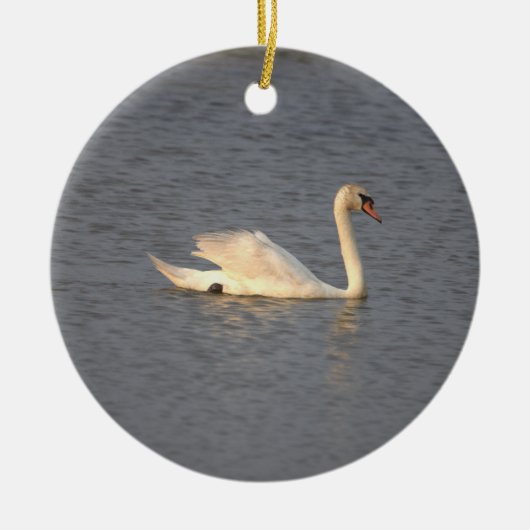 Swan Foto Ornament (Vorne)