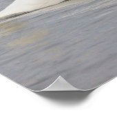 Swan Foto Poster (Ecke)