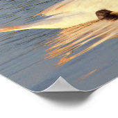 Swan Foto Poster (Ecke)