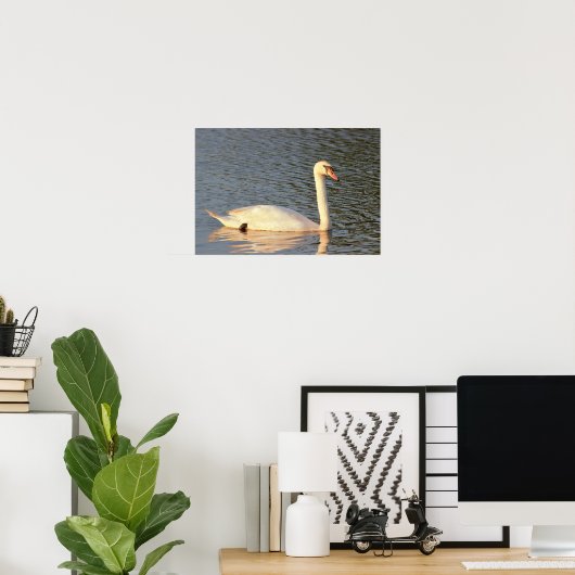Swan Foto Poster (Heimbüro)