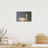 Swan Foto Poster (Küche)