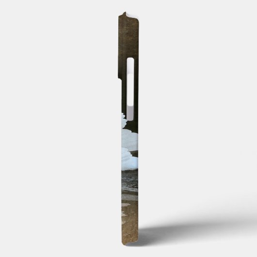 Swan Fotomonogramm Case-Mate iPhone Hülle (Rückseite / Links)