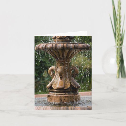 Swan Fountain Notecard Karte (Vorderseite)