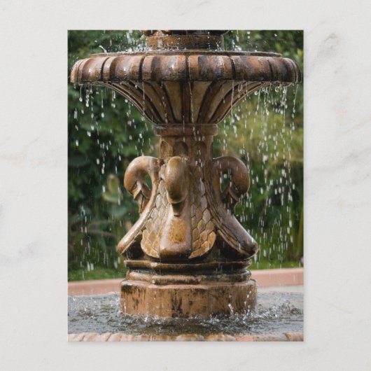 Swan Fountain Postcard Postkarte (Vorderseite)