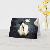 Swan - Galway, Irland Karte (Gelbe Blume)