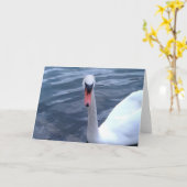 Swan Gazing am See Karte (Gelbe Blume)