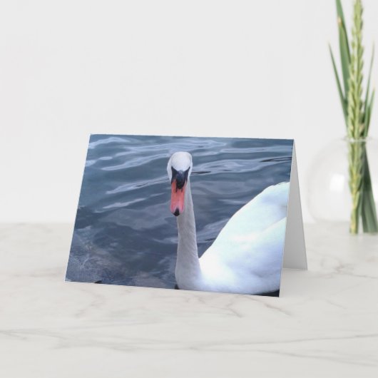 Swan Gazing am See Karte (Vorderseite)