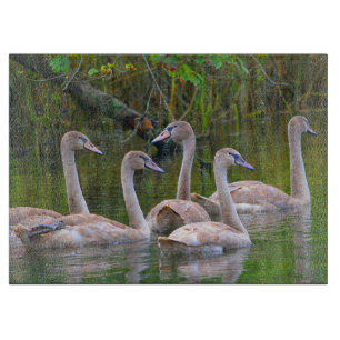 Swan Glass Cutting Board Schneidebrett