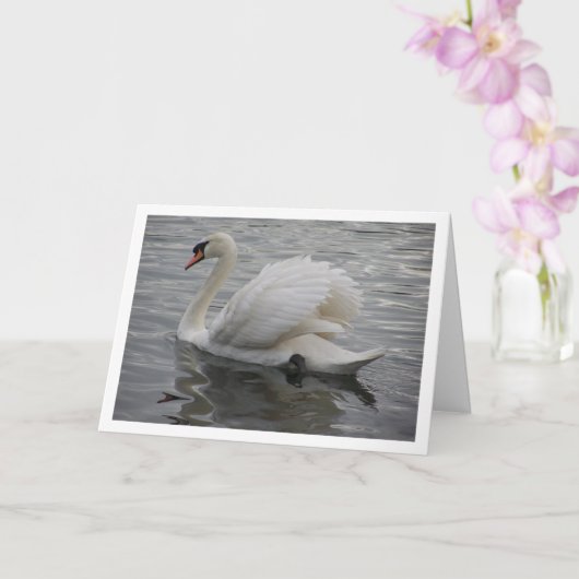 Swan Gliding im Lake Karte (Orchidee)