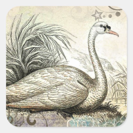 Swan Graphic Quadratischer Aufkleber (Vorderseite)