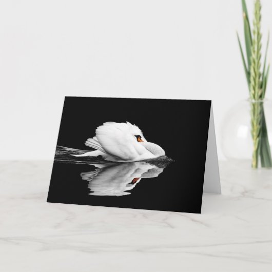 Swan greeting card karte (Vorderseite)
