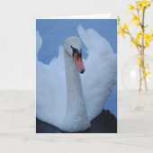 Swan Greeting Card Karte (Gelbe Blume)