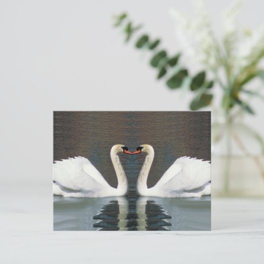 Swan Heart Postkarten (Stehend Vorderseite)
