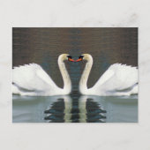 Swan Heart Postkarten (Vorderseite)