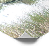 Swan in Feuchtgebieten Poster (Ecke)